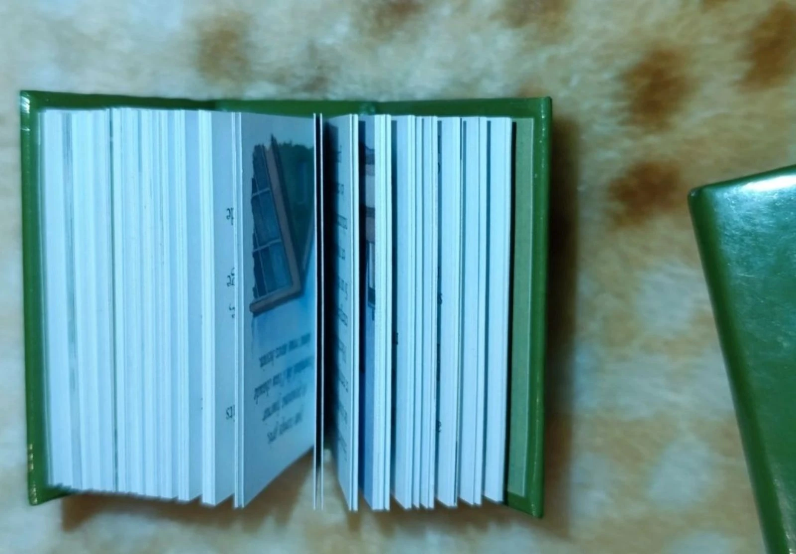 Mini boeken Le Petit Livre Vert (2 stuks) – photo 2